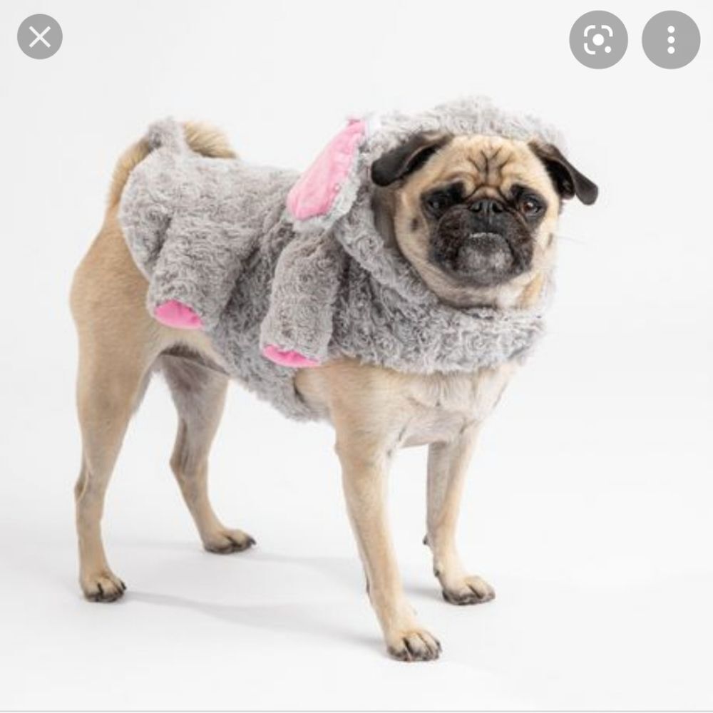 PMP Fuzzy Elephant Dog Costume (M)